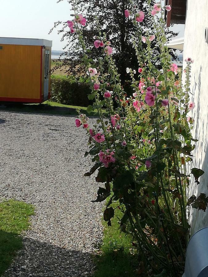 Guesthouse Gjoel Gjøl Esterno foto